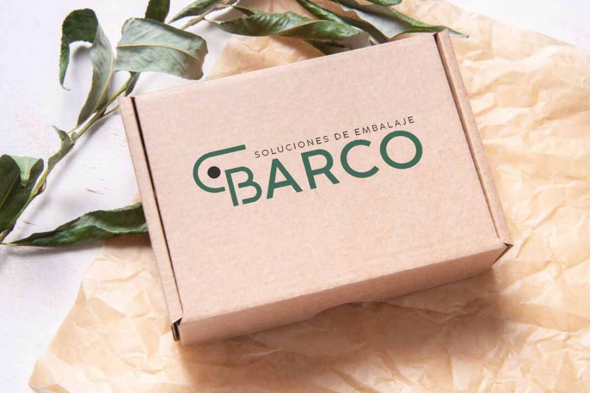 caja-carton-kraft