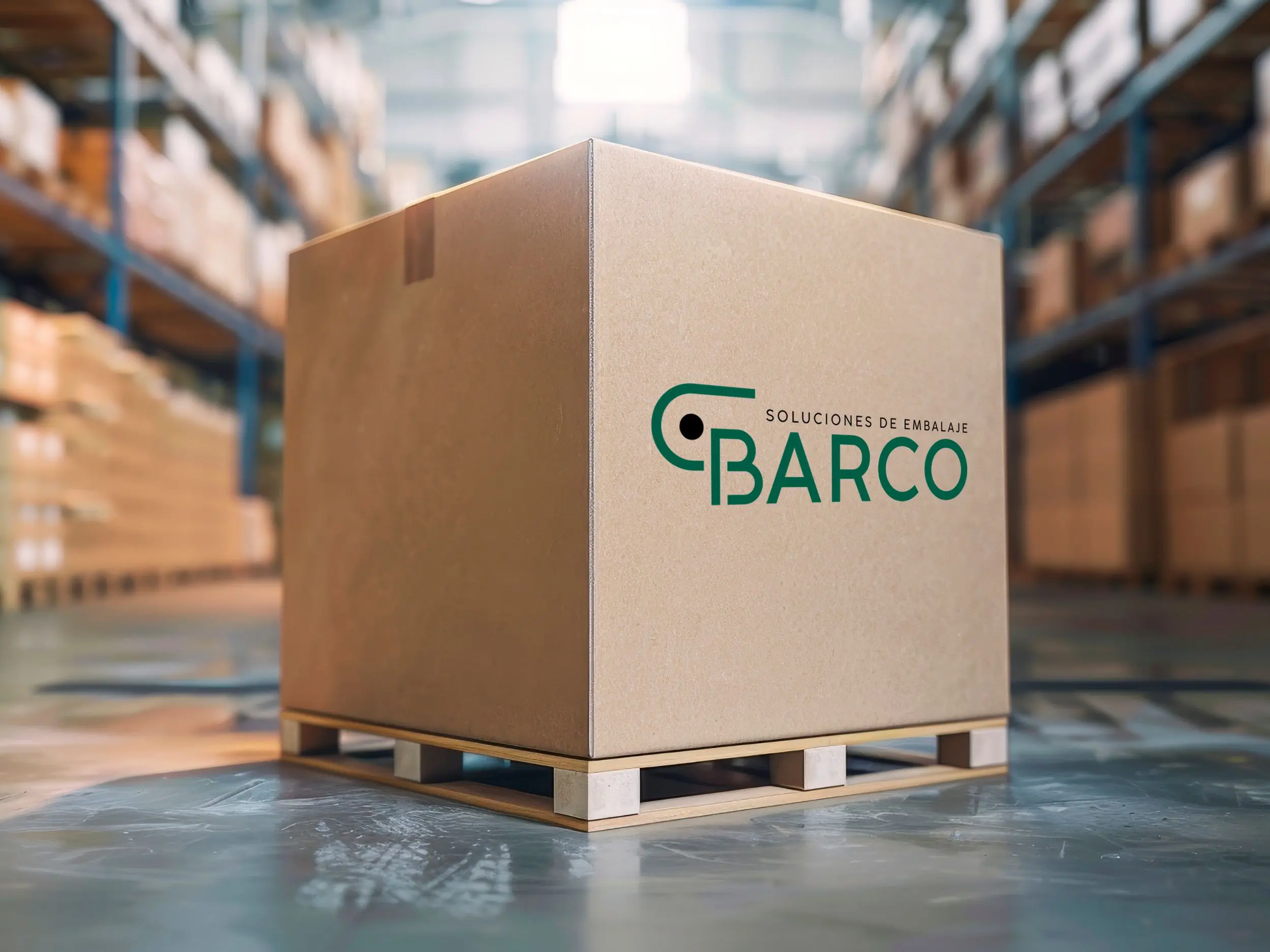 envio-paquetes-grandes