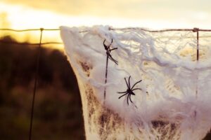 telas-de-araña